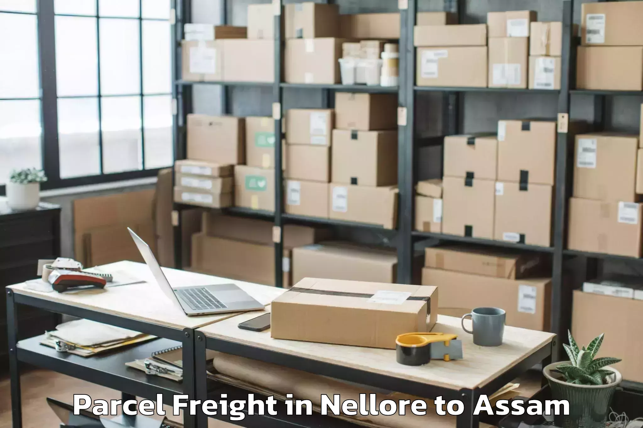 Easy Nellore to Bajali Parcel Freight Booking